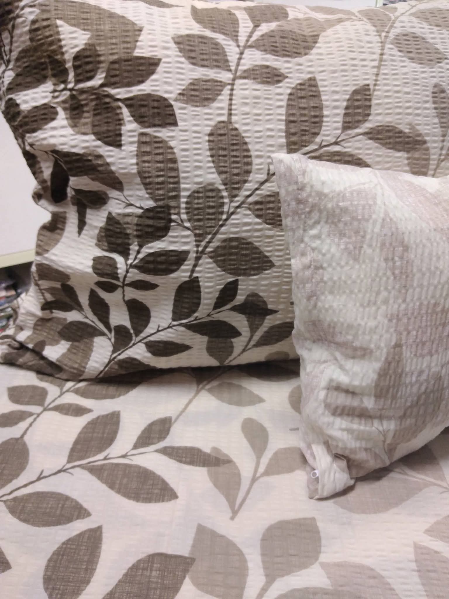 FB_IMG_1771937949337